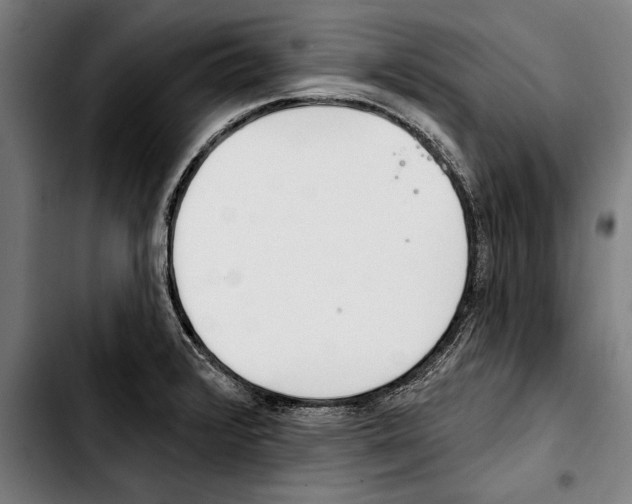 X0000103401376200810241001