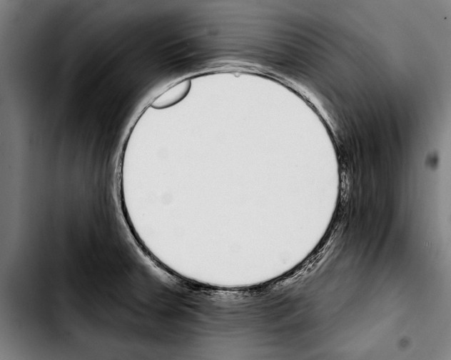 X0000103401379200810241001