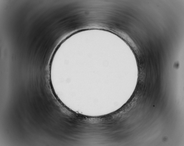 X0000103401380200810241001