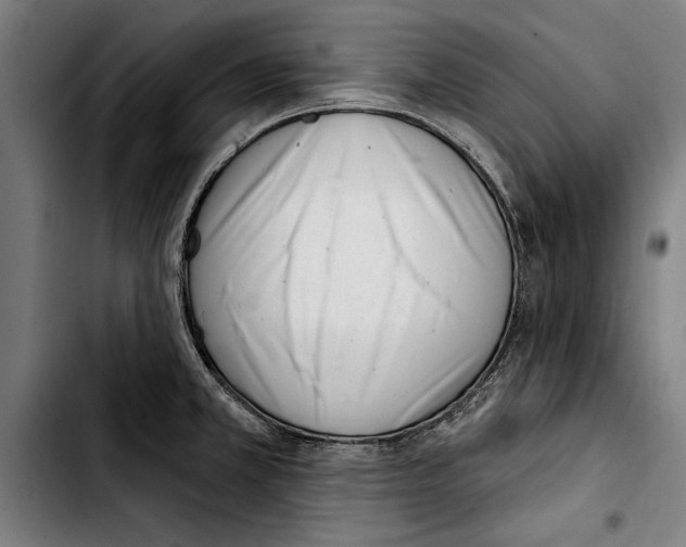 X0000103401381200810241001