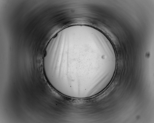 X0000103401385200810241001