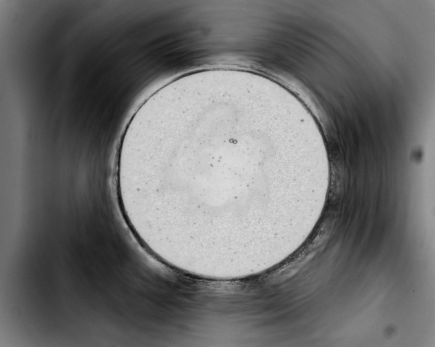 X0000103401387200810241001