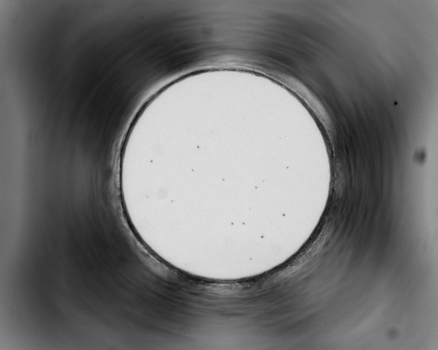 X0000103401388200810241001