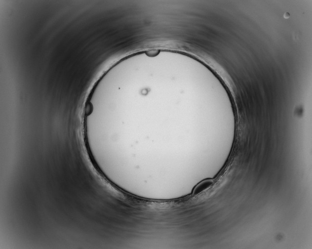 X0000103401389200810241001