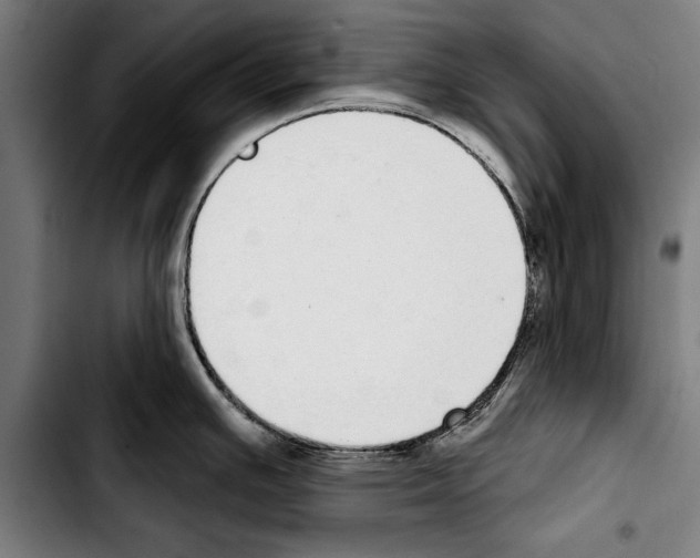 X0000103401391200810241001