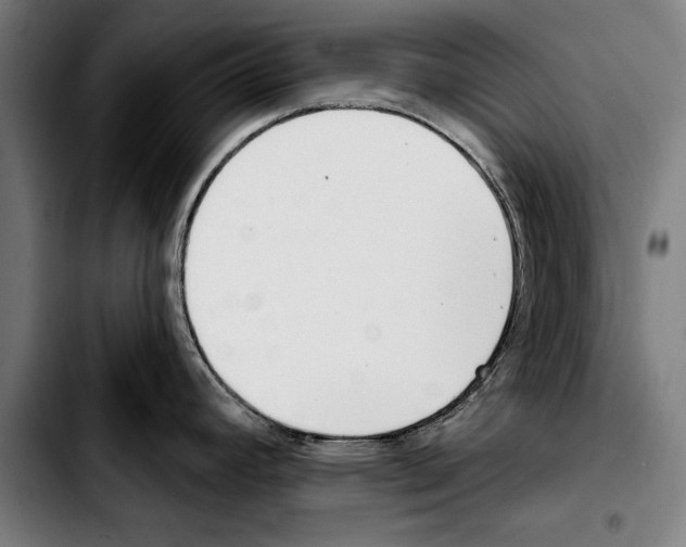 X0000103401392200810241001