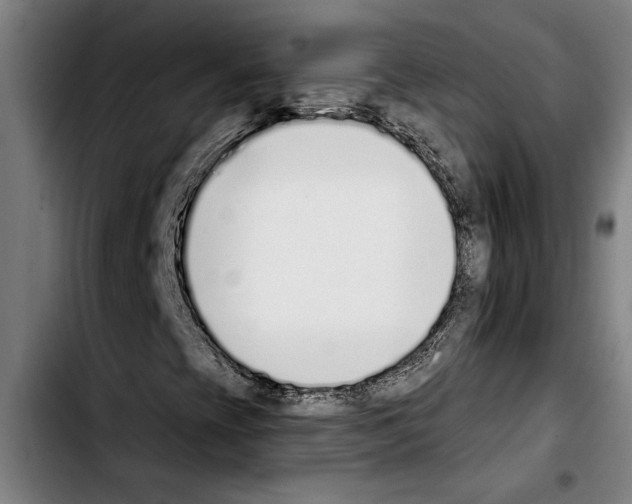 X0000103401393200810241000