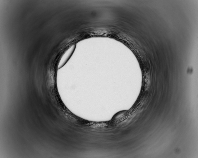 X0000103401394200810241000