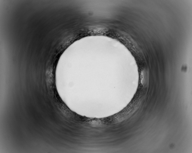 X0000103401395200810241000