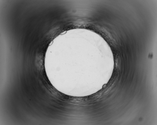 X0000103401396200810241000