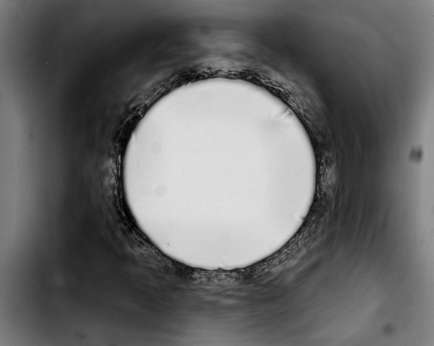 X0000103401397200810241000