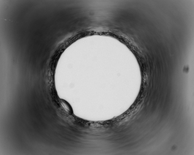 X0000103401398200810241000