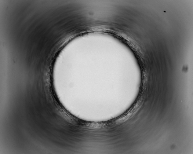 X0000103401401200810241000