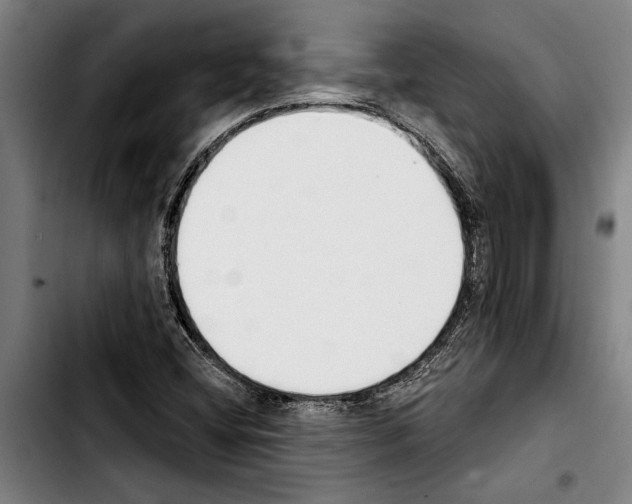 X0000103401404200810241000