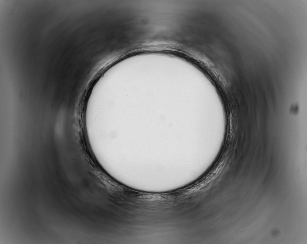 X0000103401405200810241000