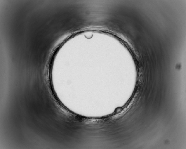 X0000103401406200810241000