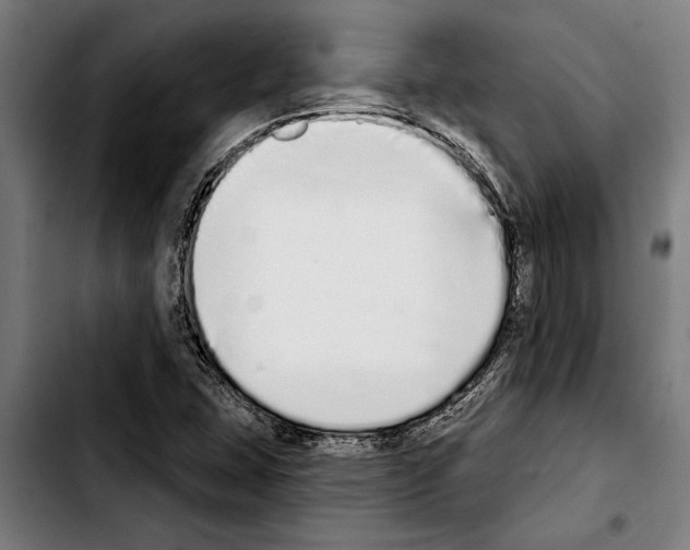 X0000103401407200810241000