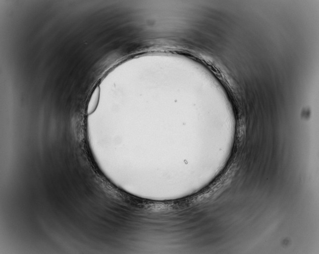 X0000103401409200810241000