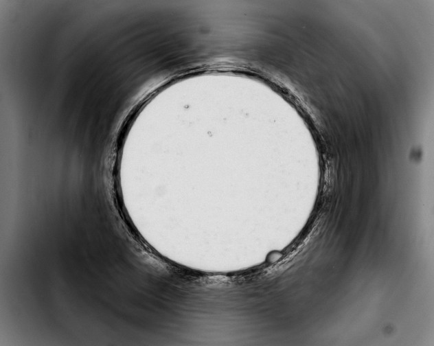 X0000103401410200810241000