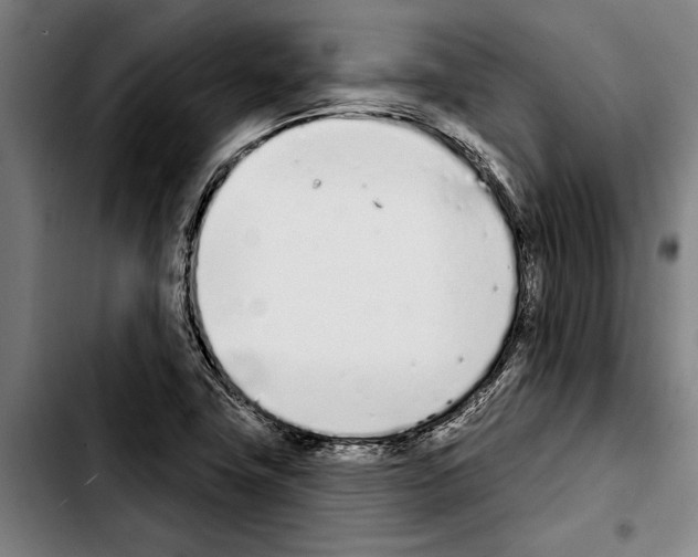 X0000103401411200810241000