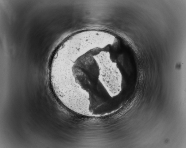 X0000103401414200810241000