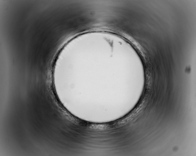 X0000103401415200810241000