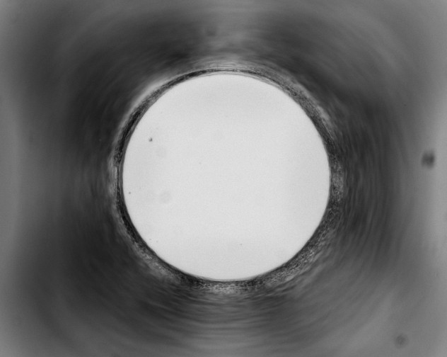 X0000103401416200810241000