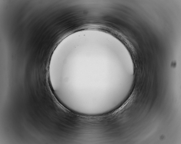 X0000103401417200810241000