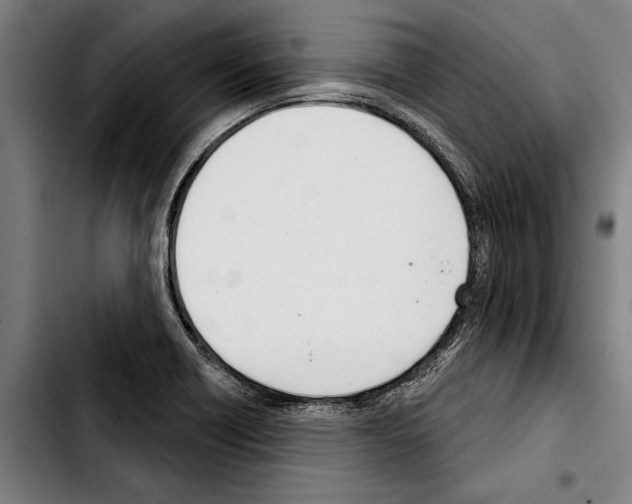 X0000103401418200810241000