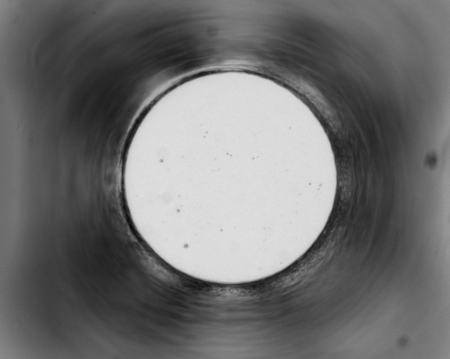 X0000103401420200810241000