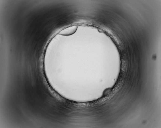 X0000103401421200810241000