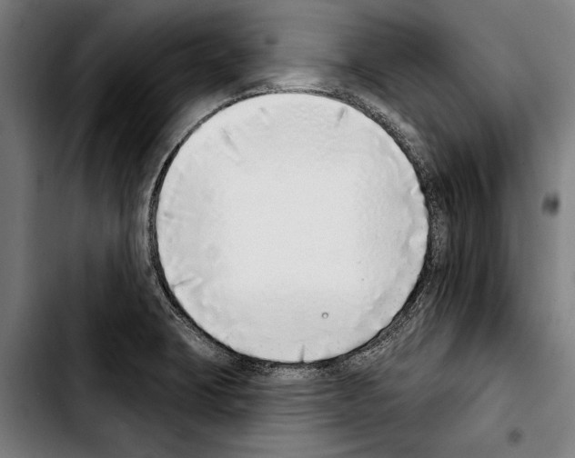 X0000103401423200810241001