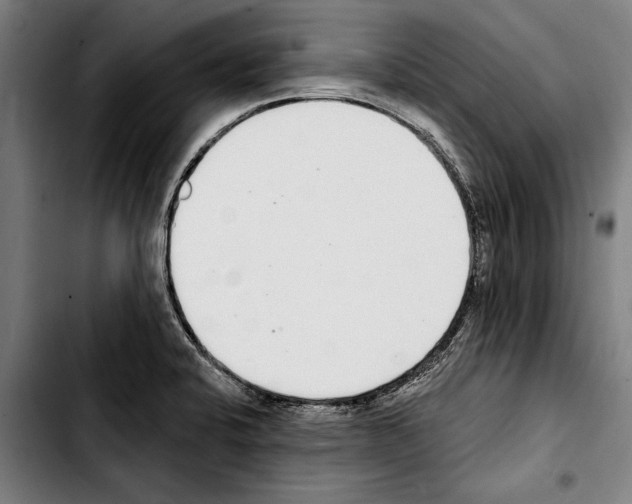 X0000103401424200810241001