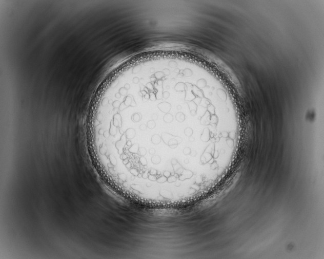 X0000103401425200810241001