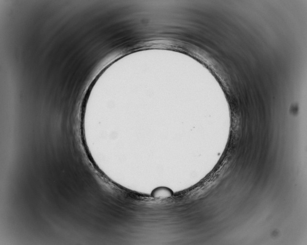 X0000103401426200810241001