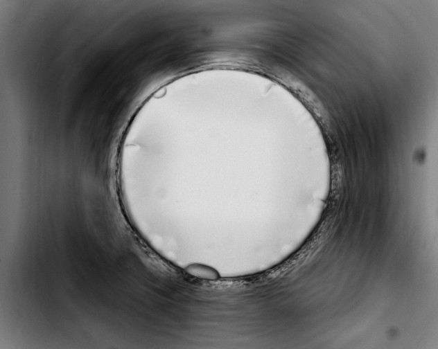 X0000103401427200810241001