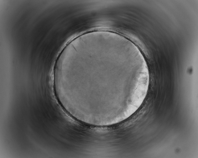 X0000103401428200810241001