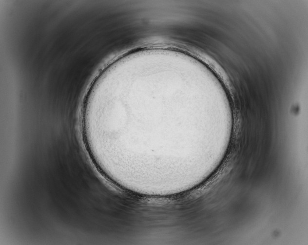 X0000103401429200810241001