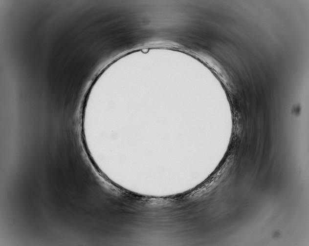 X0000103401430200810241001