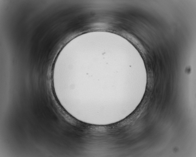 X0000103401431200810241001