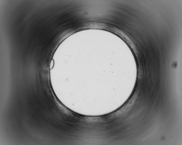 X0000103401433200810241001