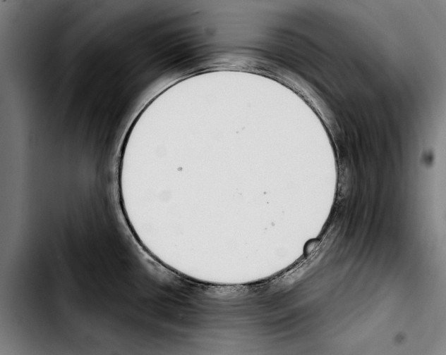 X0000103401434200810241001