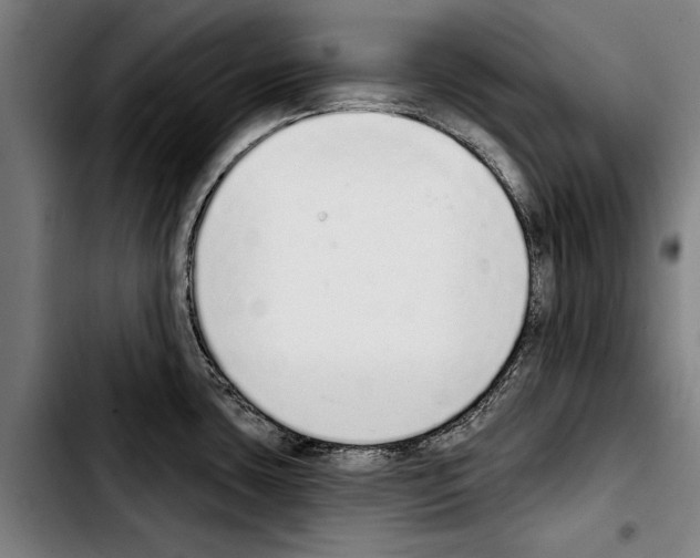 X0000103401435200810241001