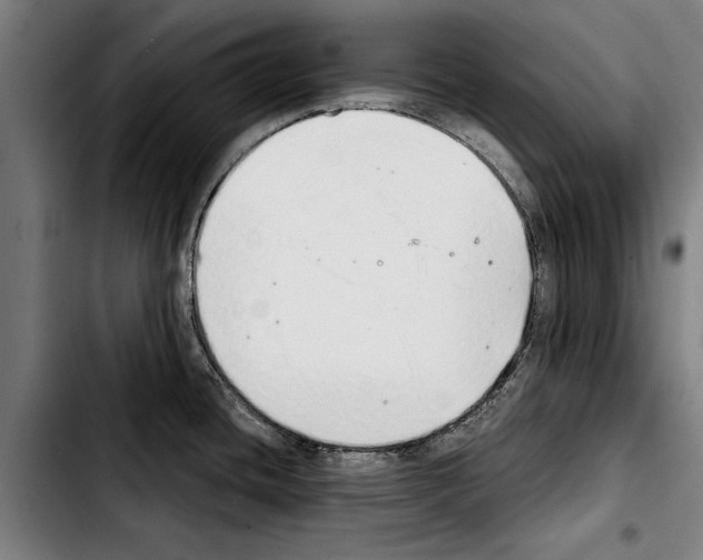 X0000103401436200810241001