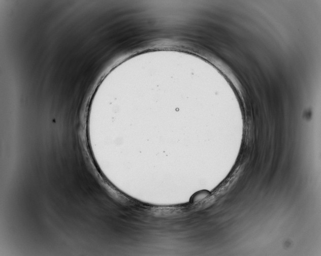 X0000103401437200810241001