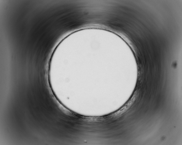 X0000103401438200810241001