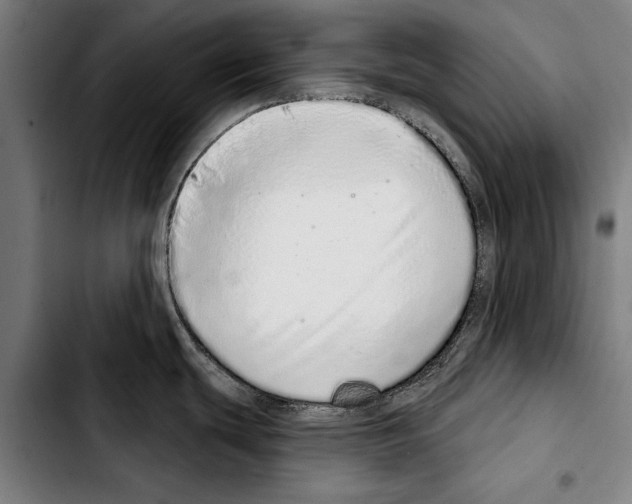 X0000103401439200810241001