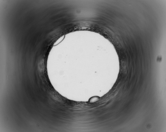 X0000103401442200810241000