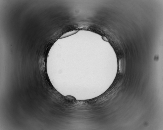 X0000103401443200810241000