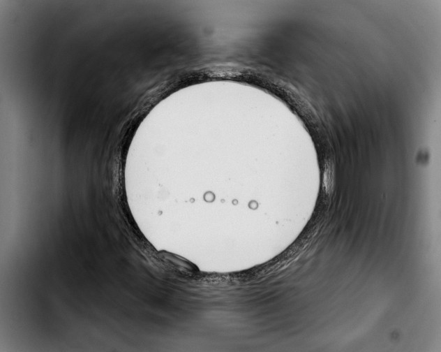 X0000103401444200810241000